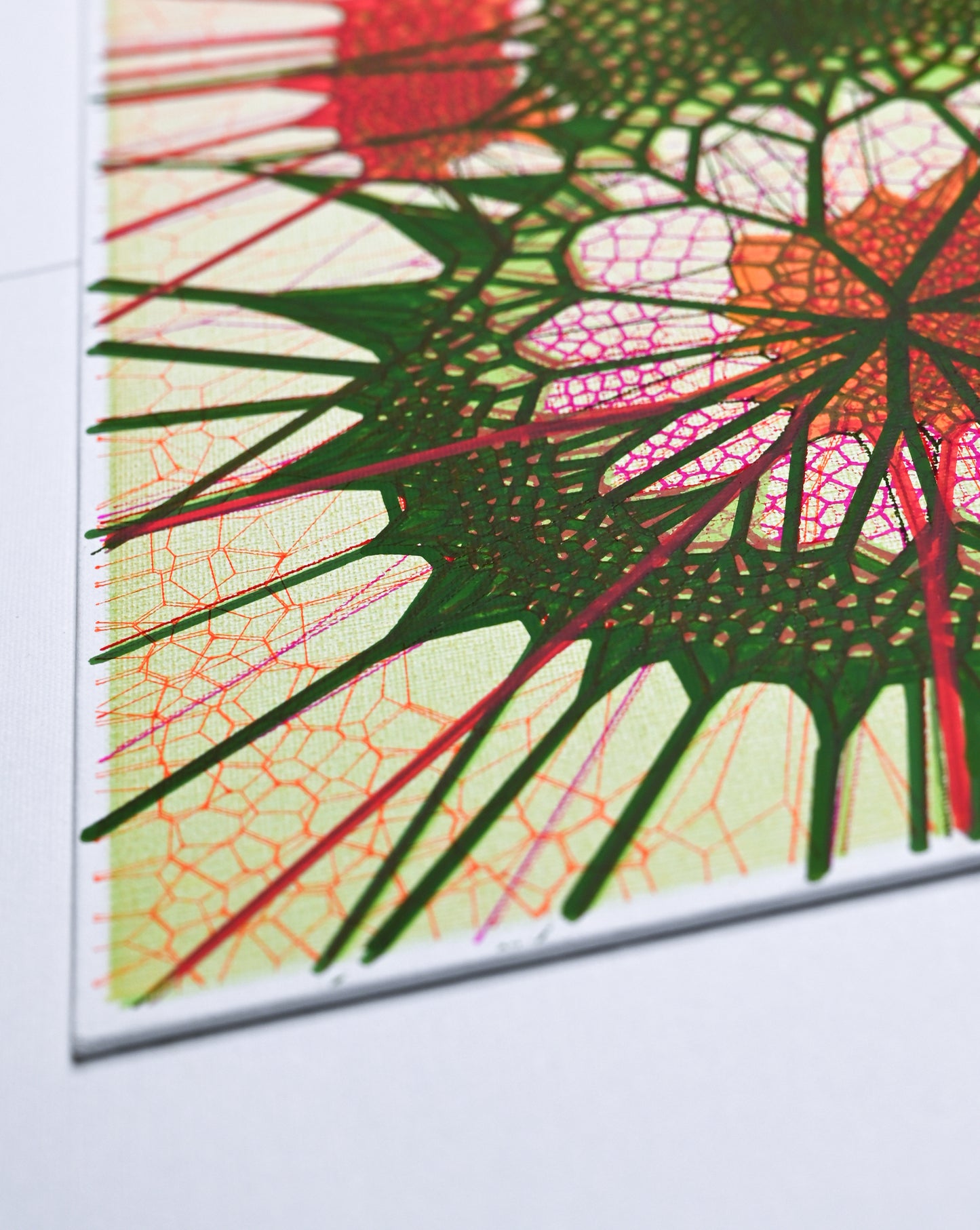 Dual Cells | Plotted Canvases | 11"x14"