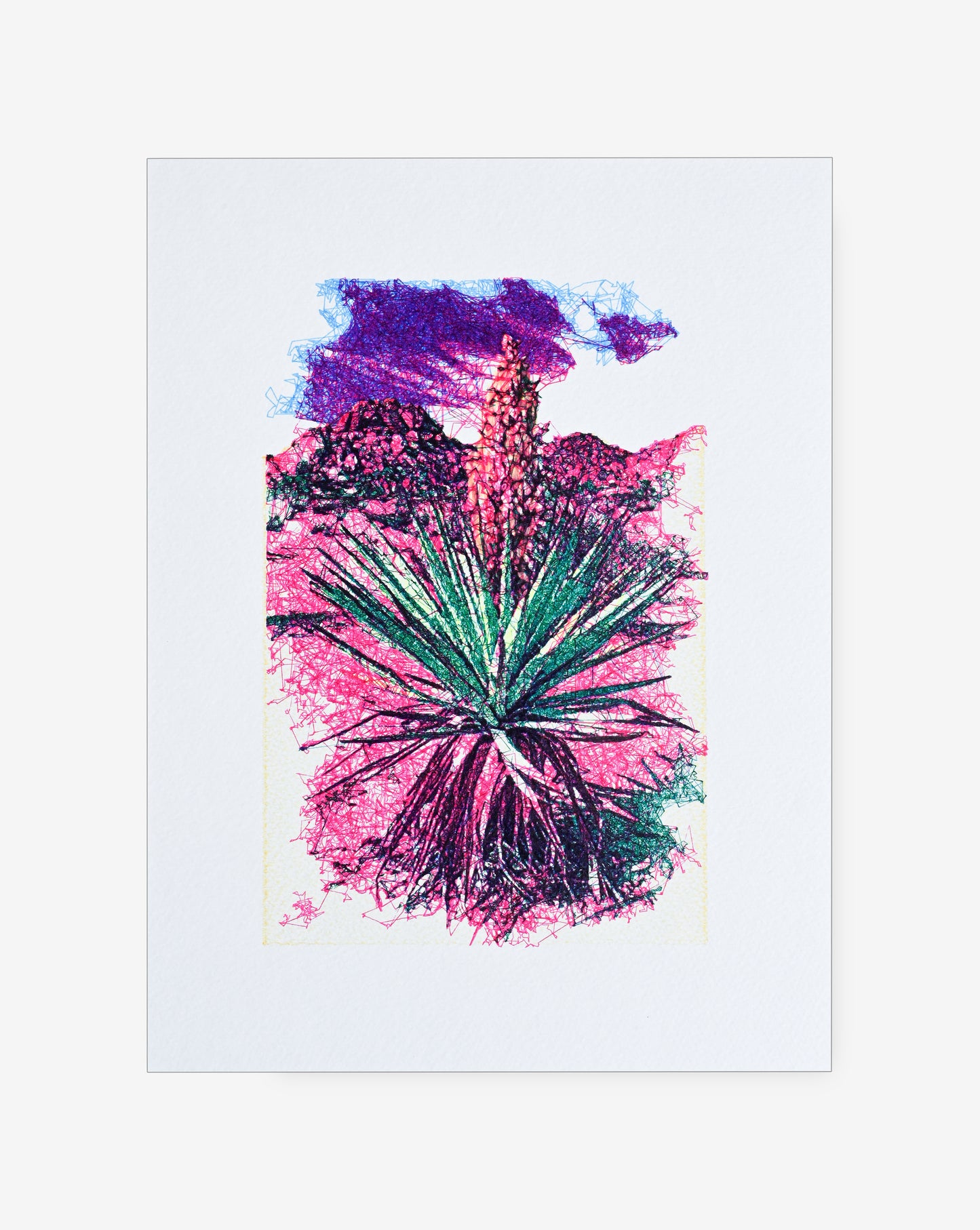 Algorithmic plotter drawing of cactus plant -generative art prints, algorithmic art, pen plotter art