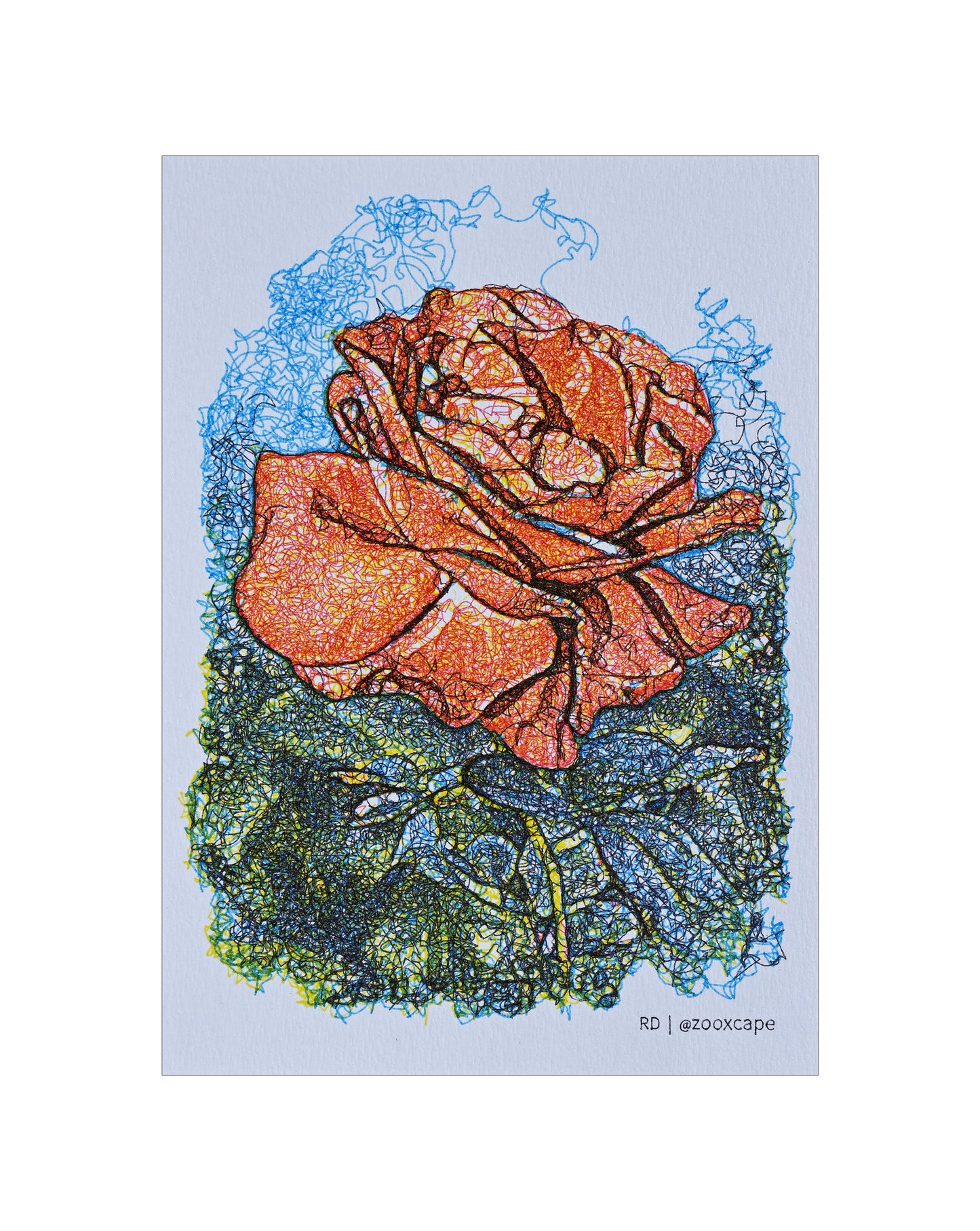 Flowers in Bloom 2 | Algorithmic Art | 5" x 7"