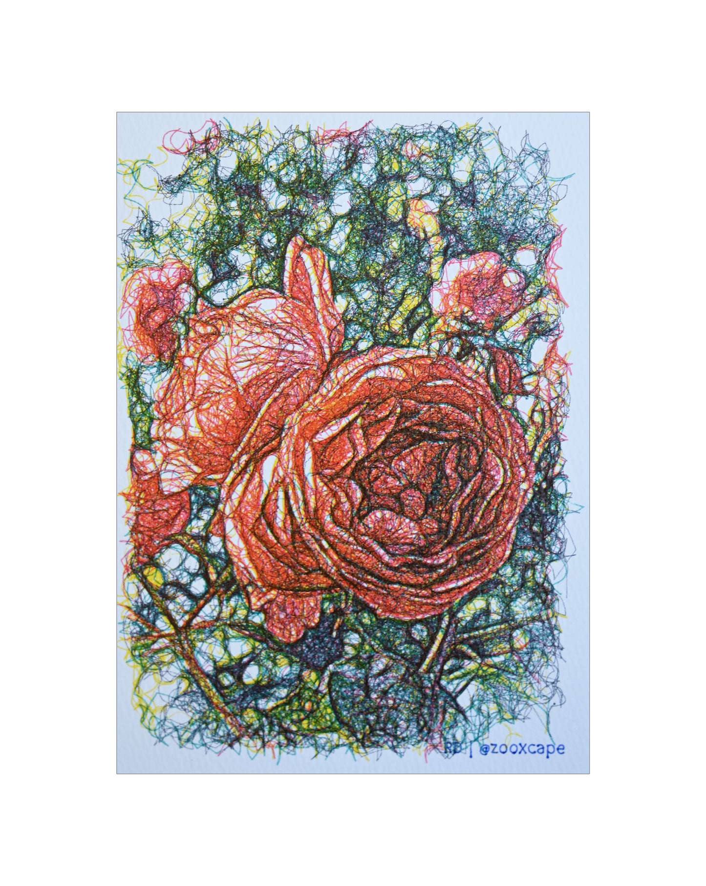 Flowers in Bloom 30 | Pen plotter art | 5" x 7"