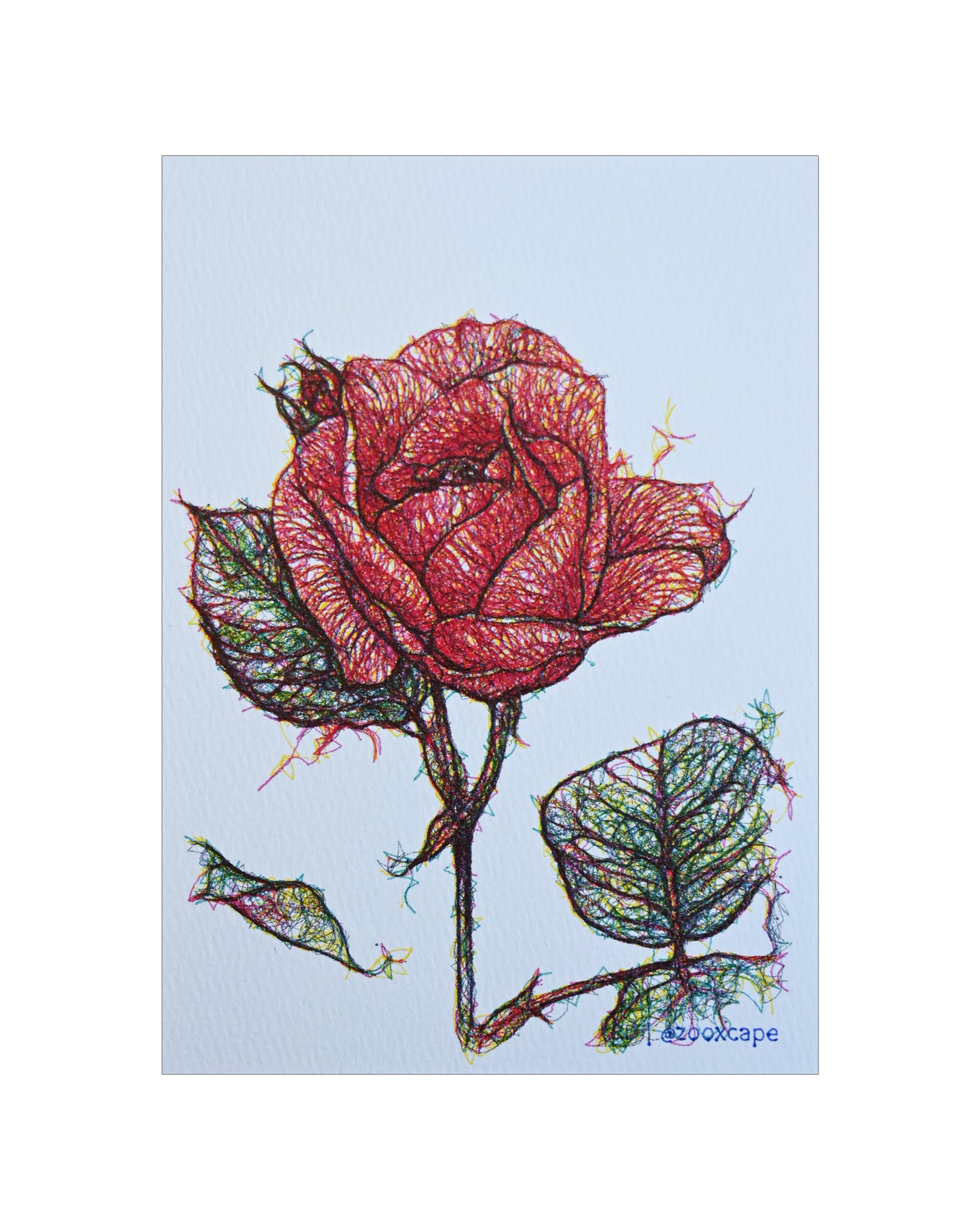 Flowers in Bloom 34 | Generative art | 5" x 7"