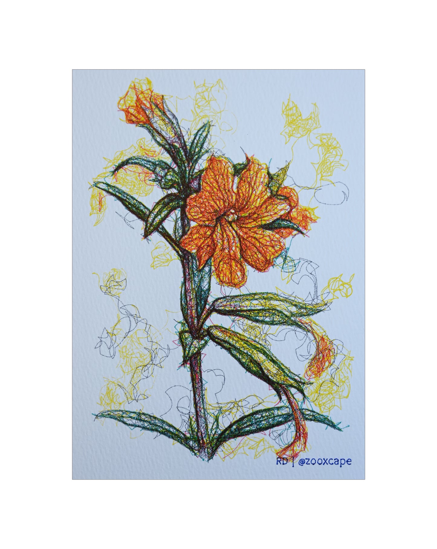 Flowers in Bloom 37 | Pen plotter art | 5" x 7"