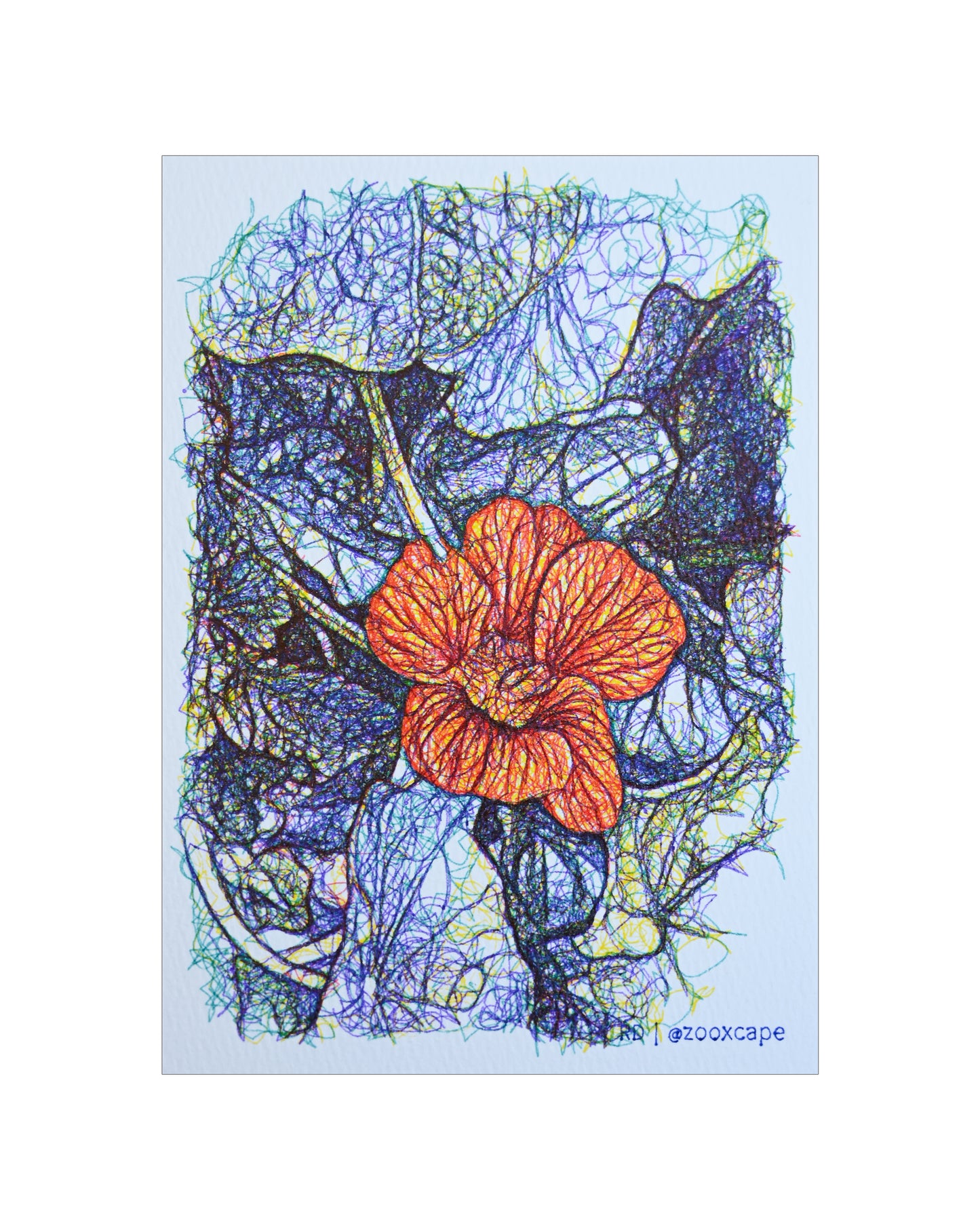 Flowers in Bloom 38 | Pen plotter art | 5" x 7"