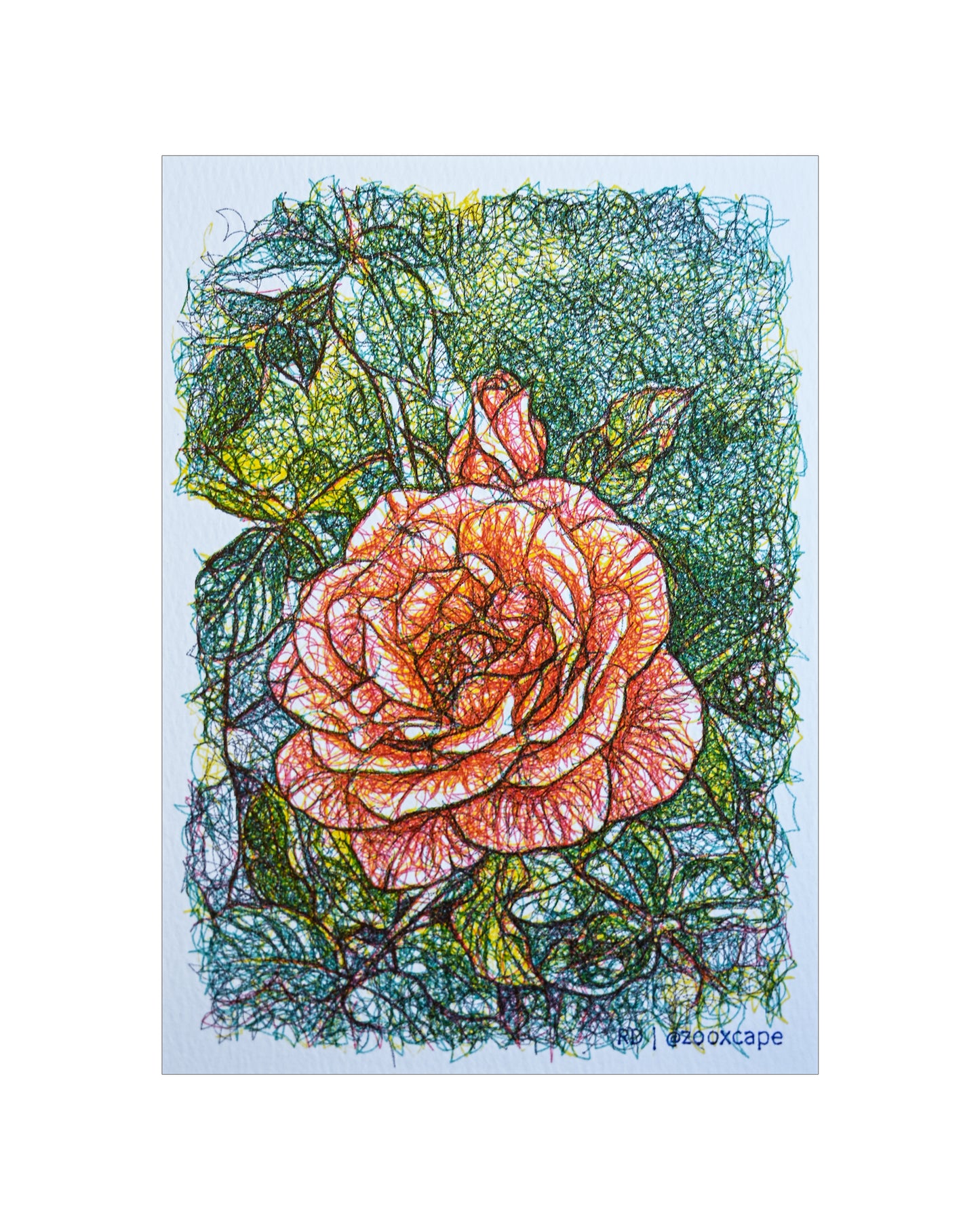 Flowers in Bloom 40 | Algorithmic art | 5" x 7"