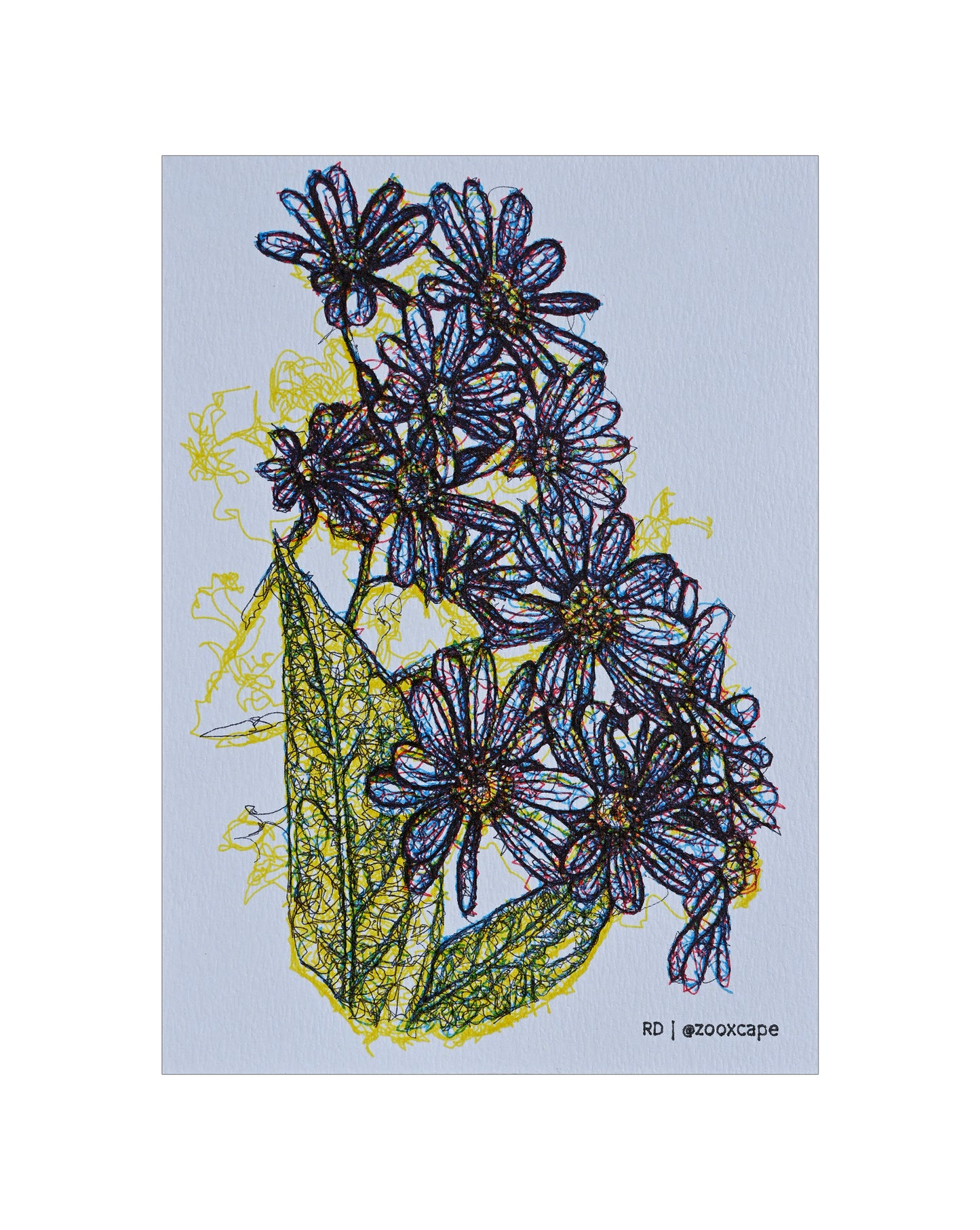Flowers in Bloom 6 | Generative Art Prints | 5" x 7"