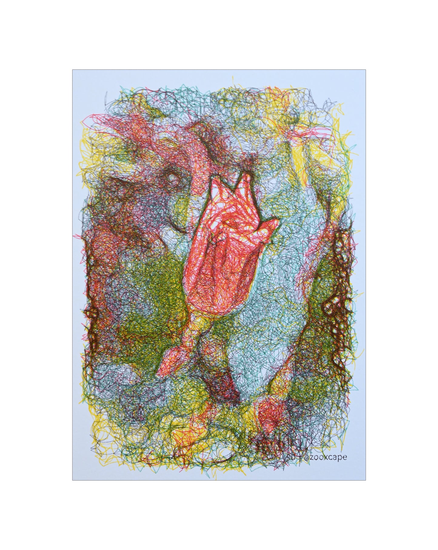 Flowers in Bloom 8 | Generative art | 5" x 7"