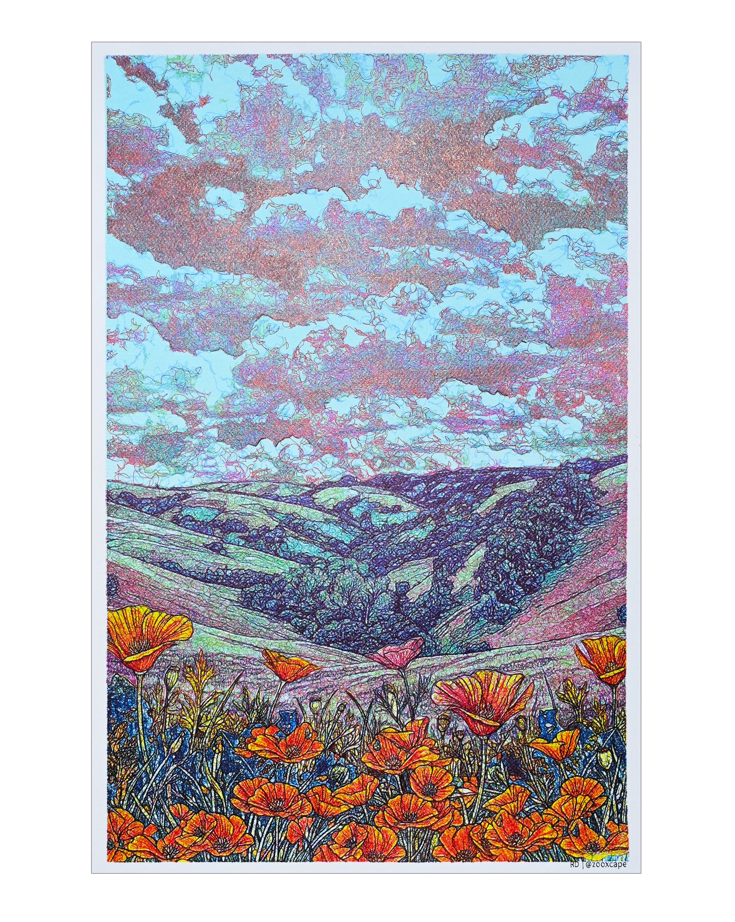 Trail view and poppy | 16" x 24"