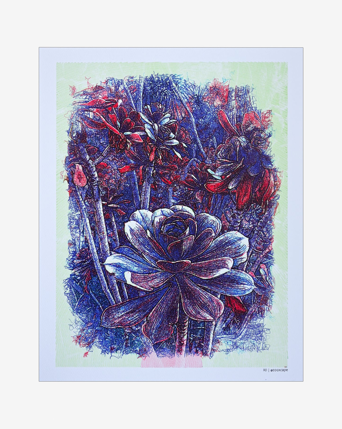 Purely Botanical | 16" x 20"