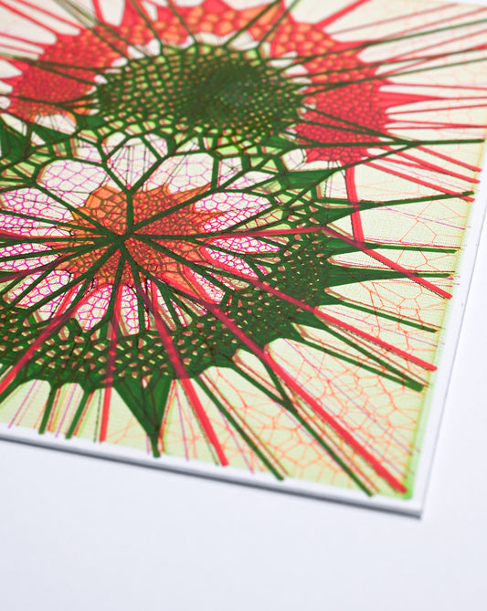 Dual Cells | Plotted Canvases | 11"x14"