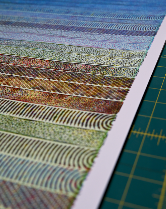 Layers of Time | Generative prints | 22" x 30"