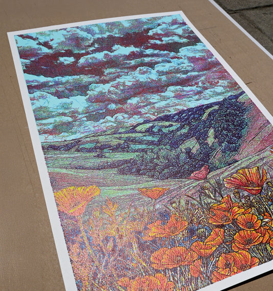 Trail view and poppy | 16" x 24"