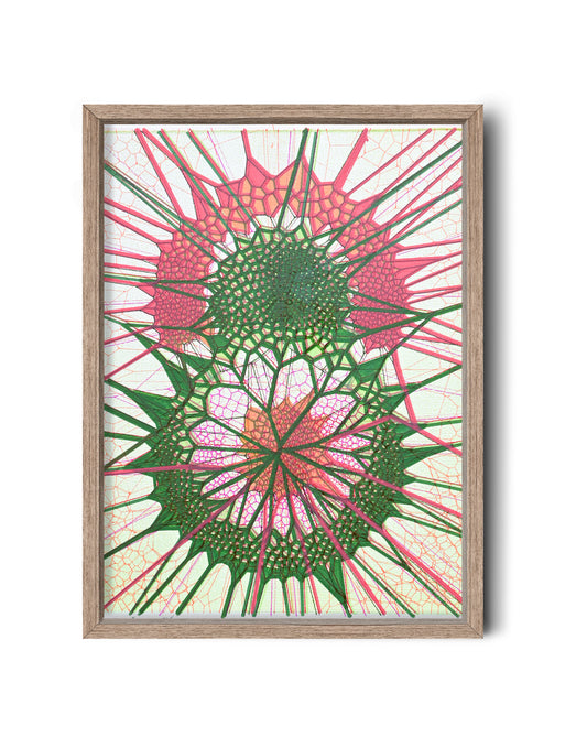 Dual Cells | 11"x14" | Canvas art