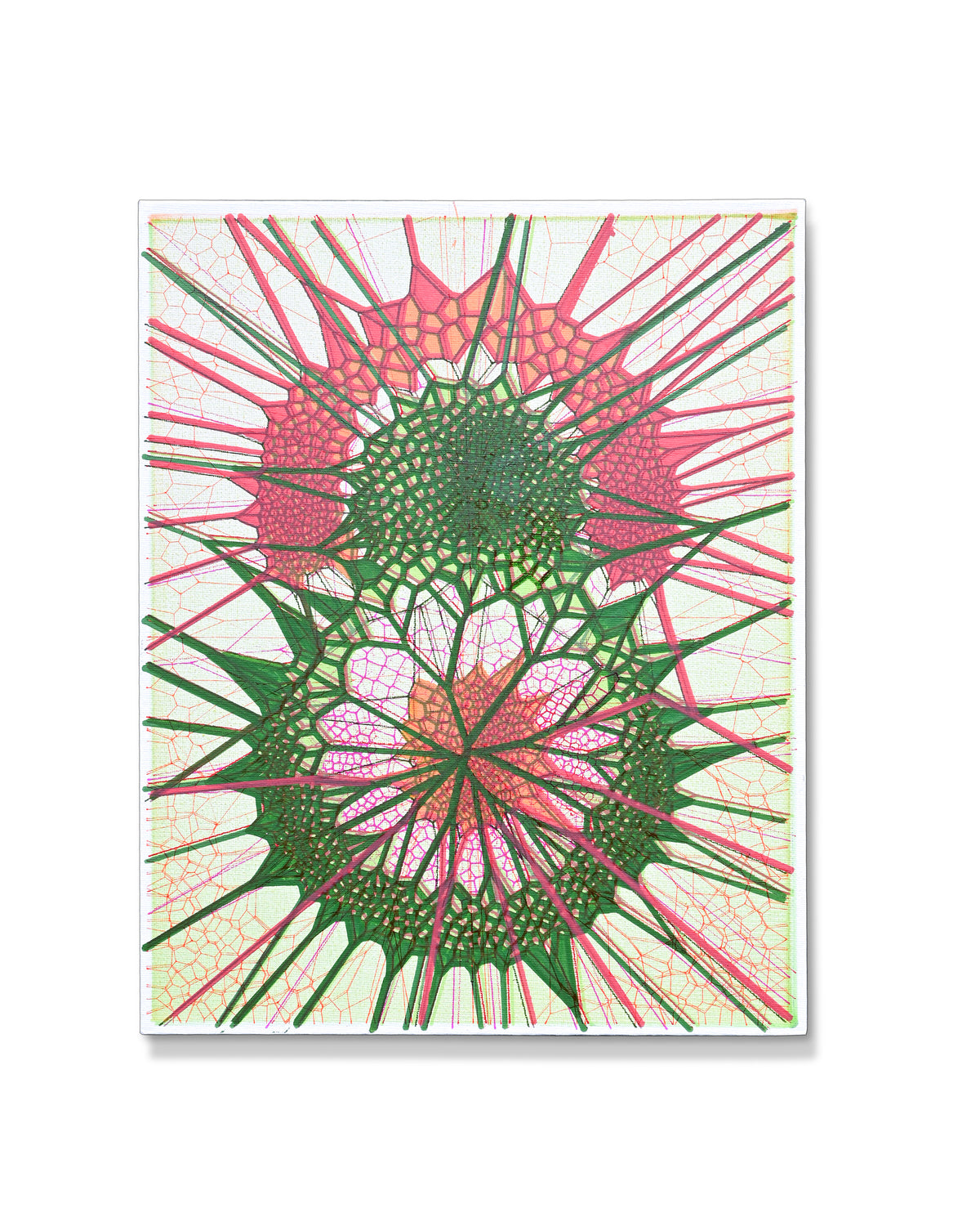 Dual Cells | 11"x14" | Canvas art