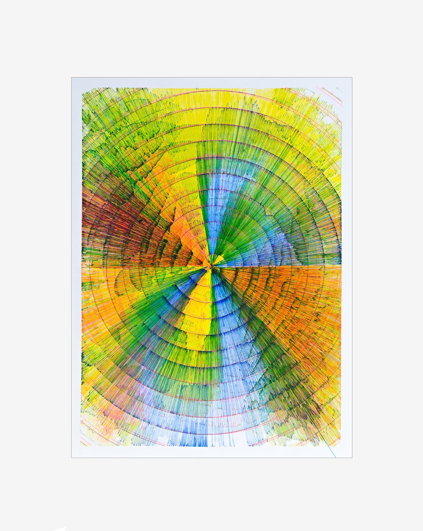 Root axis | 12" x 16"