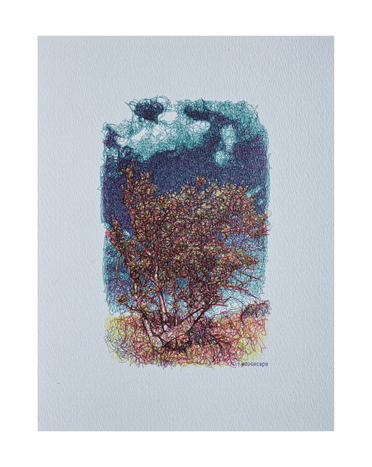 Floral Impression 3 | Generative art | 9" x 12"