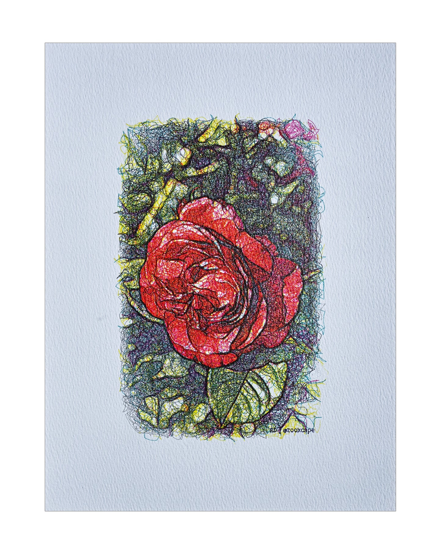 Floral Impression 9 | Algorithmic art | 9" x 12"