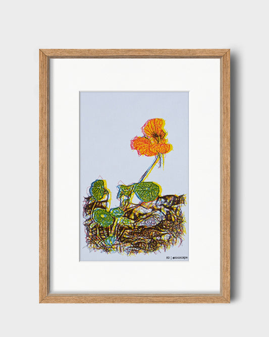 Floral Impression 24 | 9" x 12"