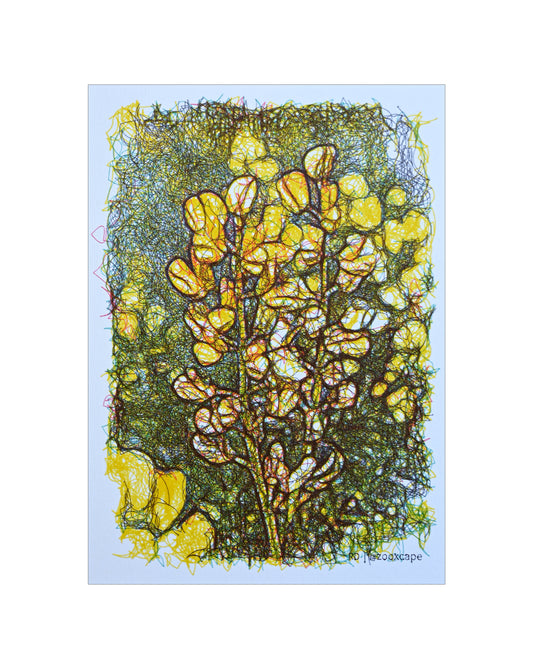 Flowers in Bloom 11 | Pen plotter art art | 5" x 7"