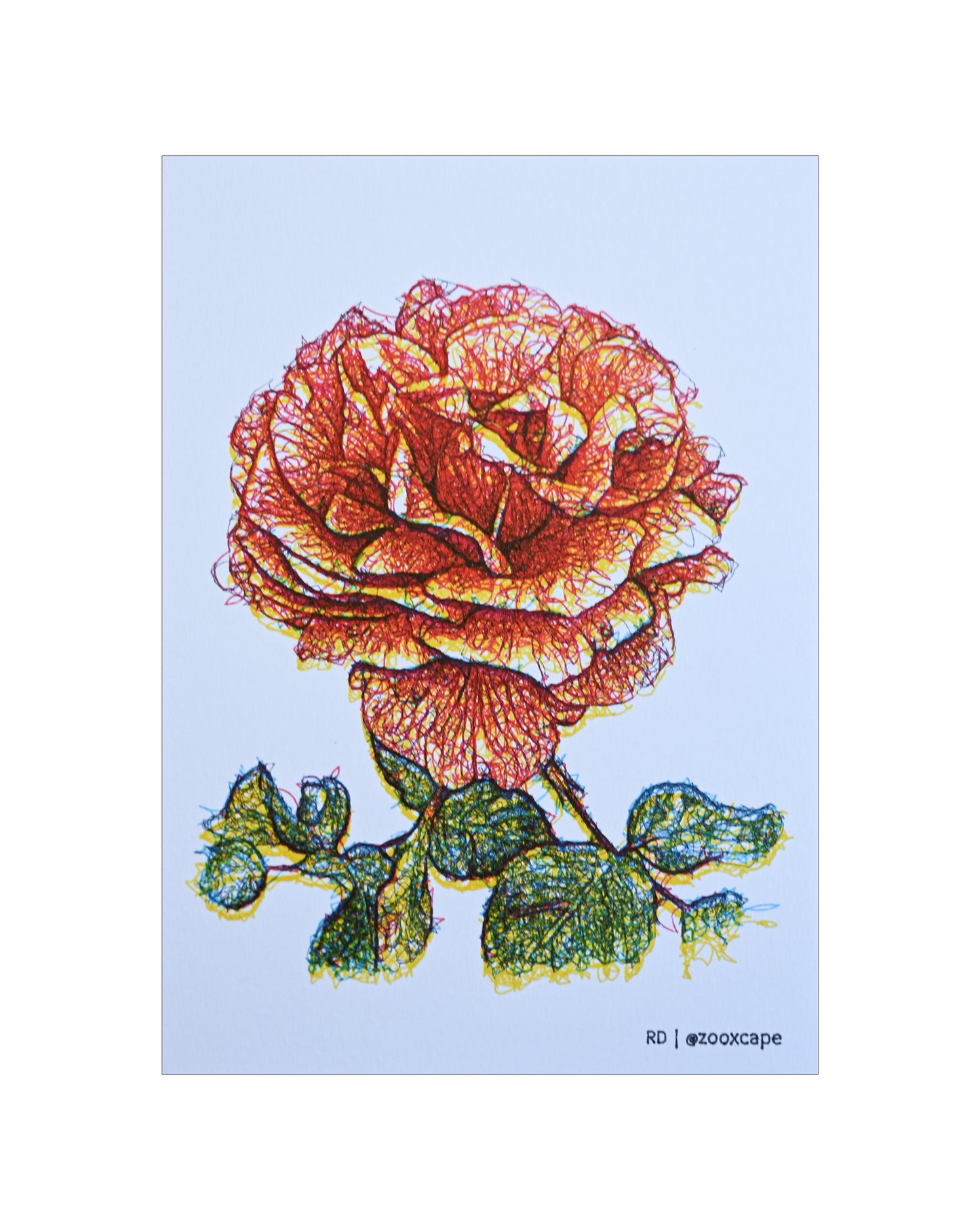 Flowers in Bloom 18 | Pen plotter art | 5" x 7"