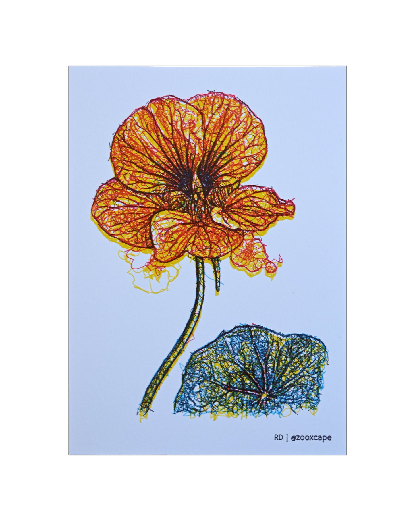 Flowers in Bloom 22 | Pen plotter art | 5" x 7"