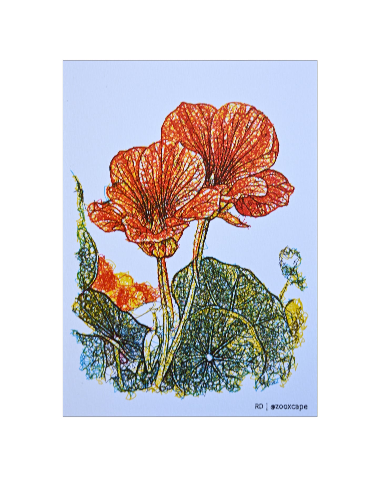 Flowers in Bloom 26 | Pen plotter art | 5" x 7"