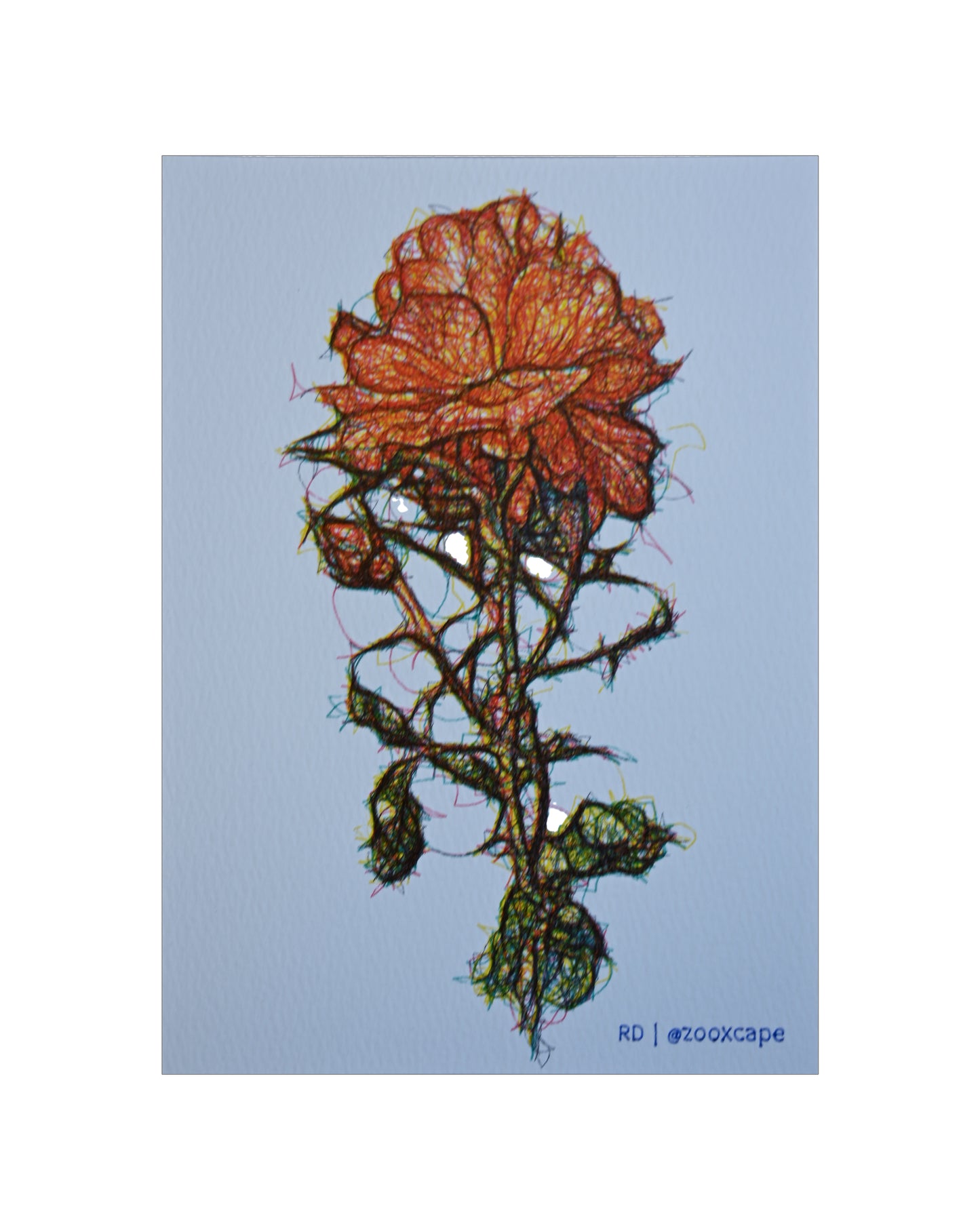 Flowers in Bloom 27 | Pen plotter art | 5" x 7"