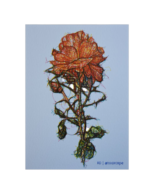Flowers in Bloom 27 | Pen plotter art | 5" x 7"