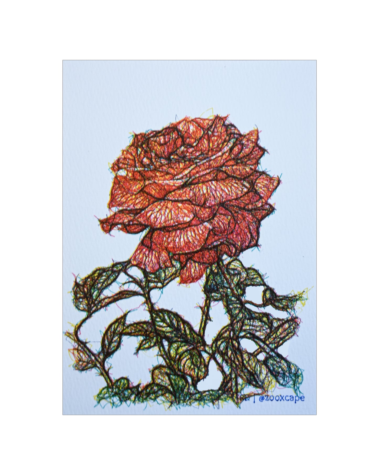 Flowers in Bloom 28 | Pen plotter art | 5" x 7"