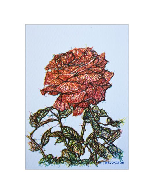 Flowers in Bloom 28 | Pen plotter art | 5" x 7"
