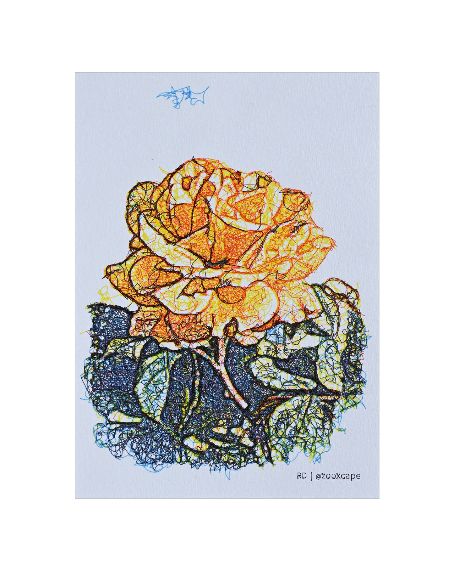 Flowers in Bloom 3 | Generative Art | 5" x 7"