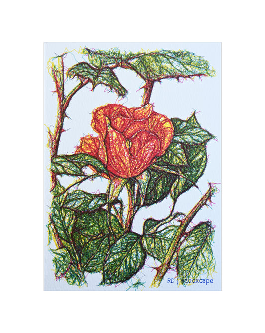 Flowers in Bloom 31 | Pen plotter art | 5" x 7"