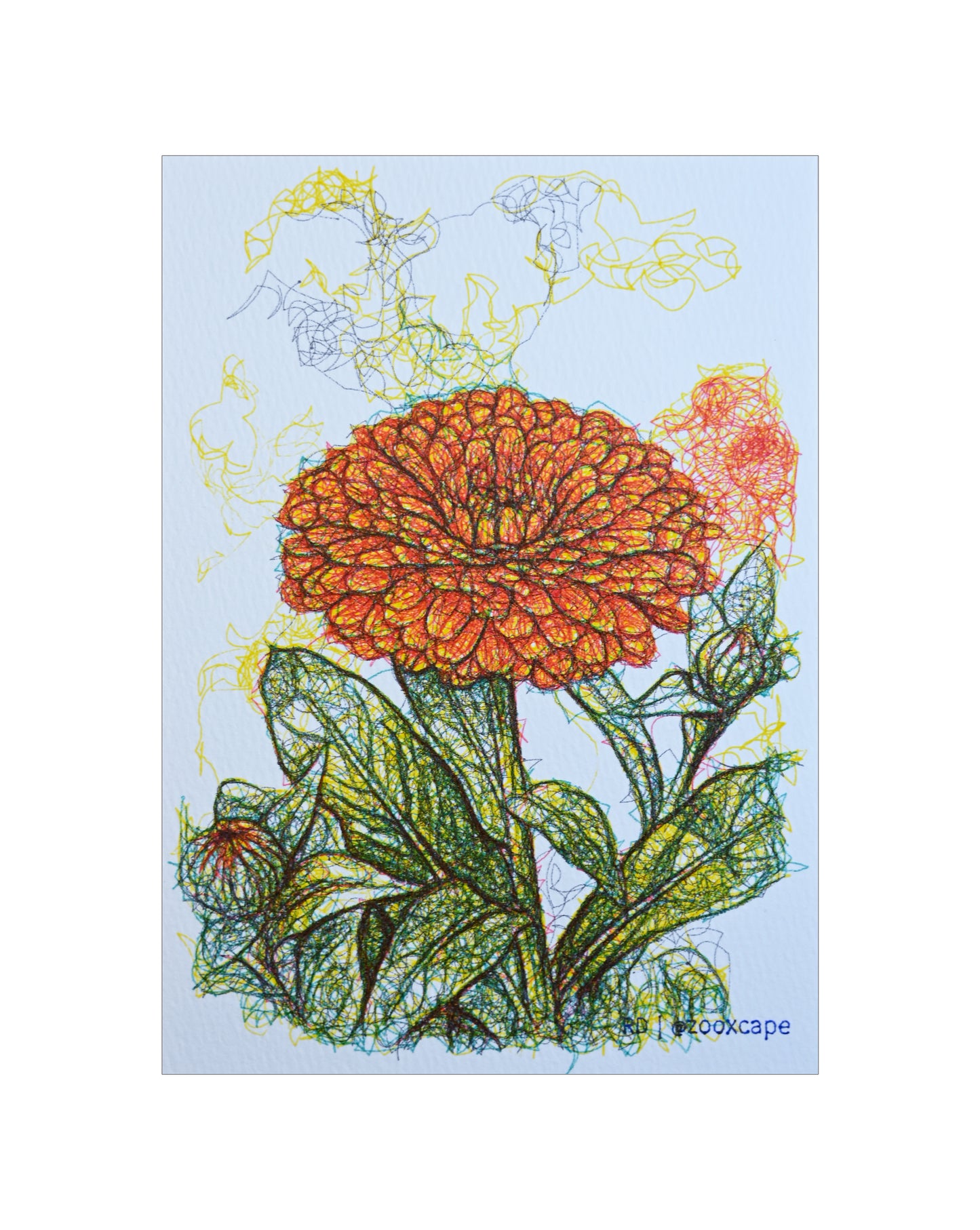 Flowers in Bloom 35 | Generative art | 5" x 7"
