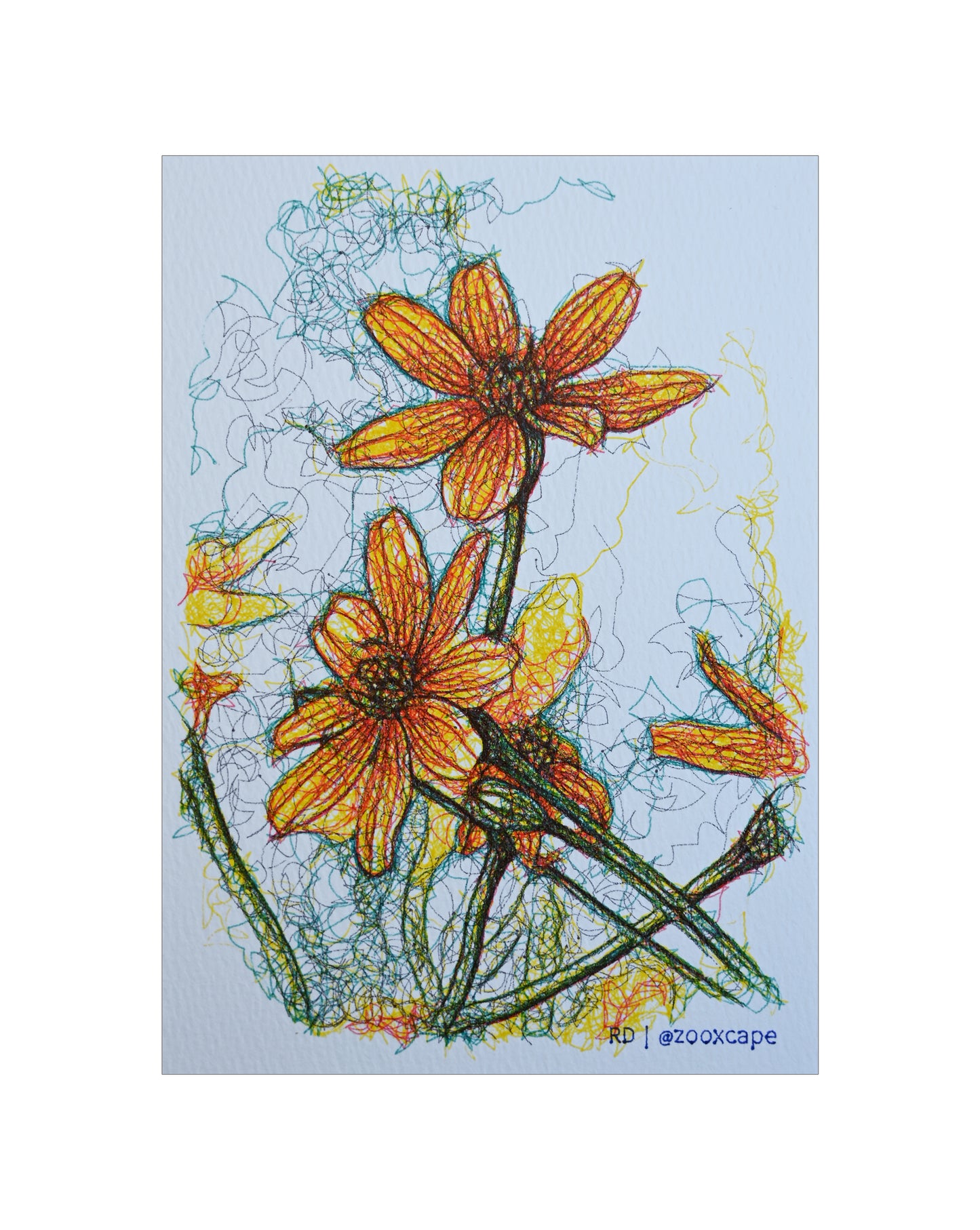 Flowers in Bloom 36 | Pen plotter art | 5" x 7"