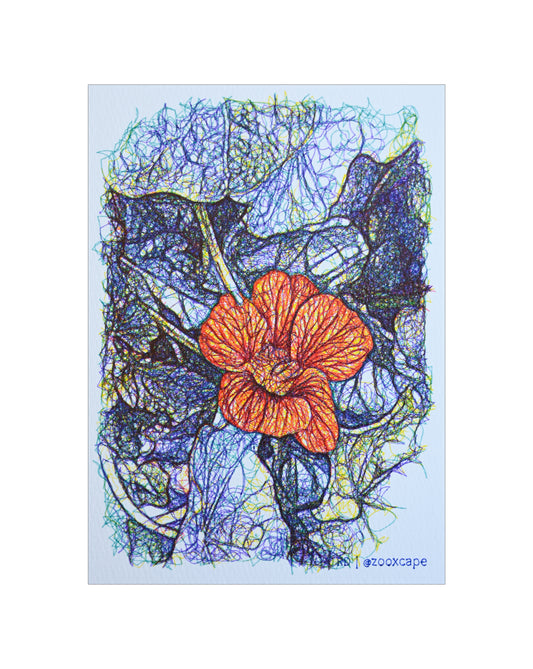 Flowers in Bloom 38 | Pen plotter art | 5" x 7"