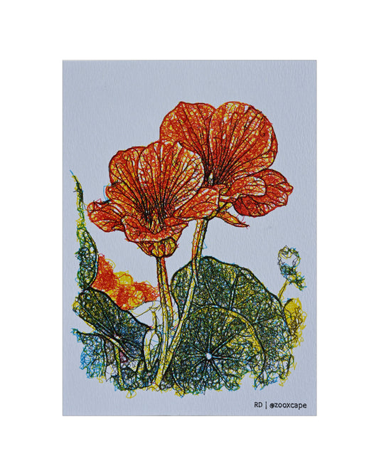 Flowers in Bloom 7 | Algorithmic art | 5" x 7"