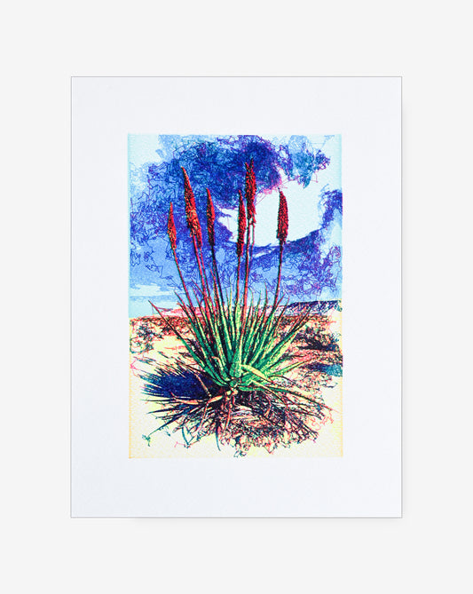 Minimalist pen plotter art of desert flower – geometric generative line print- pen plotter art, generative art prints, algorithmic art, 